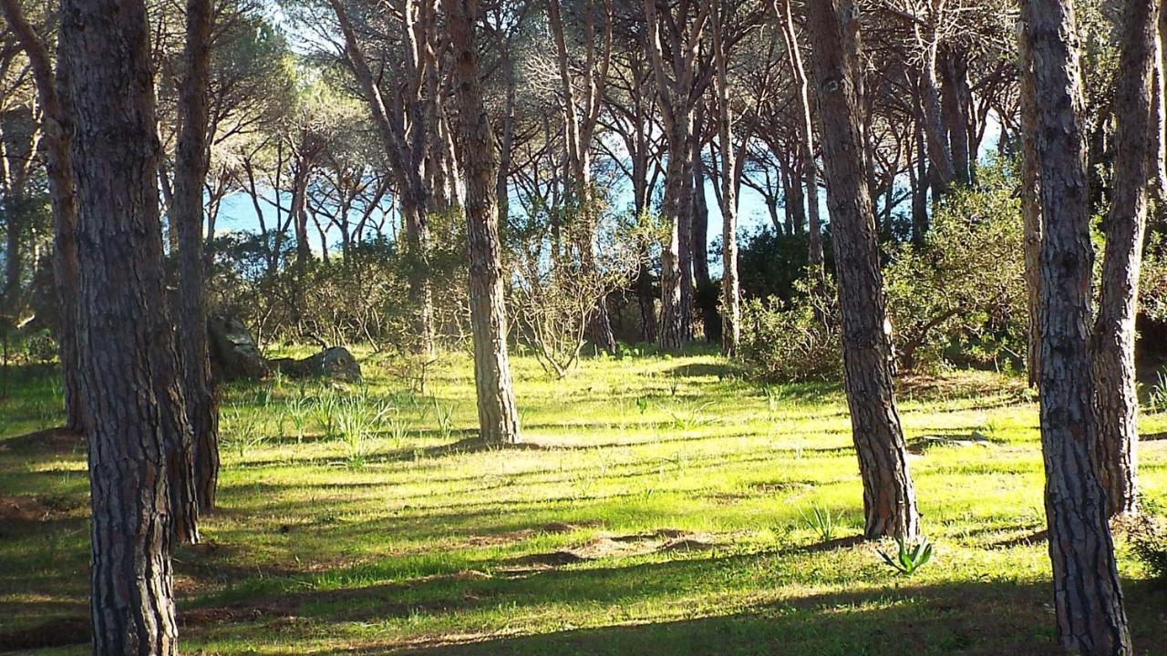 Villetta Con Giardino A Будони Екстериор снимка